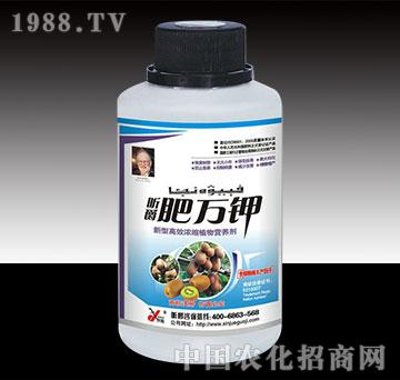 ���f⛫J����ƿ�b