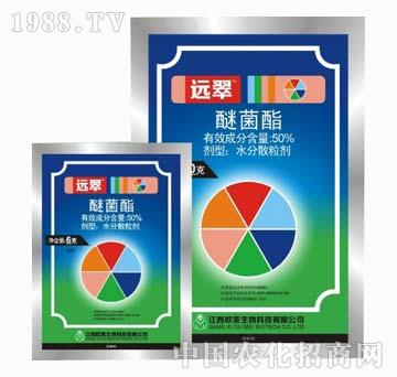 50%�Ѿ���-�h��-����