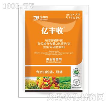 ��(zhu��n)�ΰ׷۲��P��-�|�S��-����̩