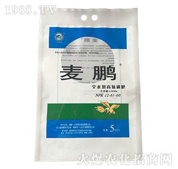 ȫˮ�ܸߵ��׷�12-61-0-���i-һ�Ļ���