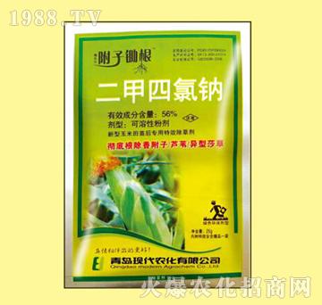 56%���������c-���ӳ���-嫘�(l��)��