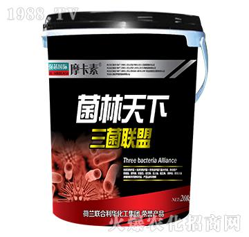 ������������(li��n)��-Ħ����-��(qi��ng)о��(gu��)�H