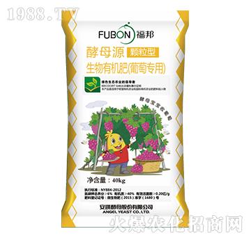 ���ь��������ЙC(j��)��-����-����