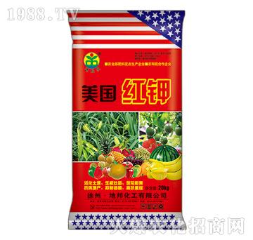 ����(gu��)�t�-�ذ�Ȫ