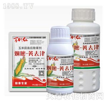 24%����.ݬȥ��-�f(w��n)���t-�G��