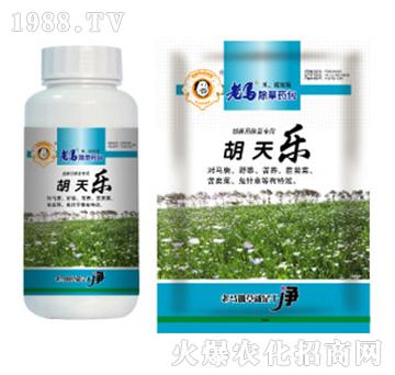 ���R����ˎ��-���옷-�����r(n��ng)�I(y��)