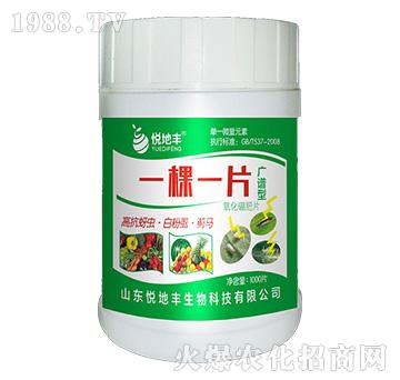 һ��һƬ���V�V�ͣ�-�����S