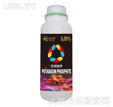 �������0-550-300-�P�L��