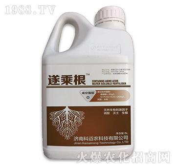 ��˸�-���~�r