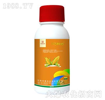 24%��������ݬȥ��-�����ɷN��-�S�՘�(l��)