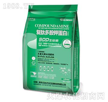 ���Ķష⛵��׹��ܷ�-���_��