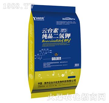 ���_�ؼ�Ʒ�����-���_��