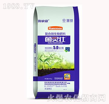 �ͺ�΢�������-���`��-���r(n��ng)��