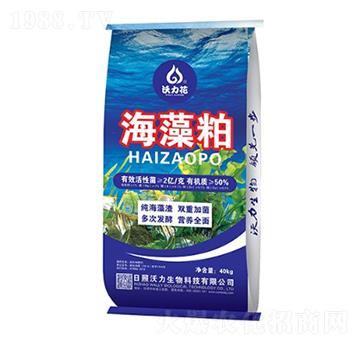 ������-������-��������