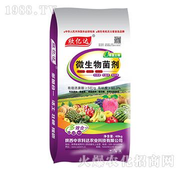 ΢�������-���|�_(d��)-���r(n��ng)���_(d��)