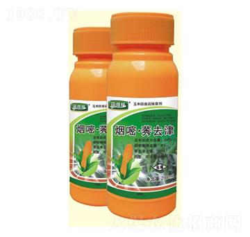 ���ס�ݬȥ��-��Gֲ��