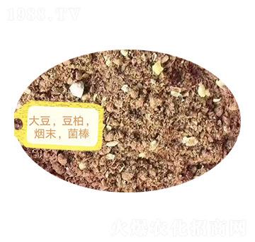 ������������ĩ��������-�Z�M�}