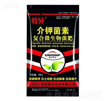 ��⛾���-�خ�-(li��n)�����r(n��ng)