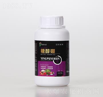 �Ǵ���-Ӣ���~��(r��n)