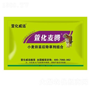 С���������݄��M��-�滯���v-�滯���h