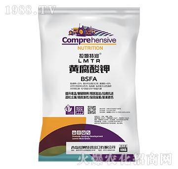 �S�����-��ķ�؝�(r��n)