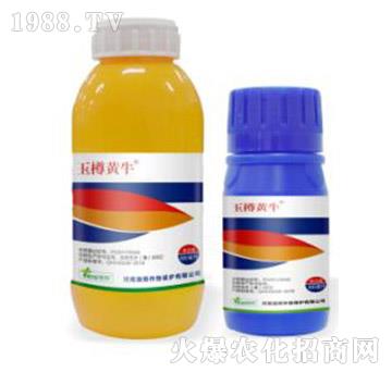 25%���ǡ�ݬȥ��-�����Sţ-�˹����