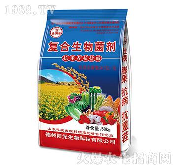 ��(f��)���������-��M��{(l��n)��-�(y��ng)������