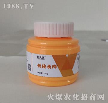 �L(zh��ng)Ƥ�L(zh��ng)��-���˳�