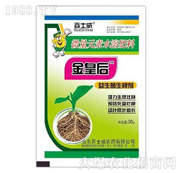 ������������-��ʿ��