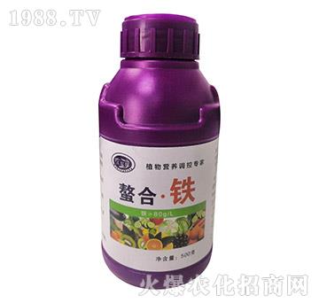 ֲ��I(y��ng)�B(y��ng)�{(di��o)�،���-���ϡ��F-�ֺ��