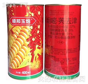 37%���ס�ݬȥ��-�T������-�P������