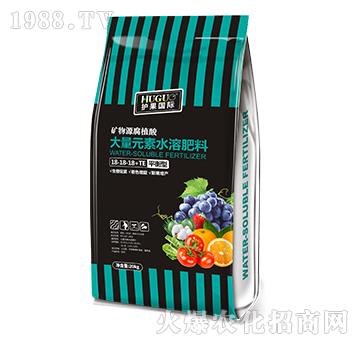 ƽ���ʹ���Ԫ��ˮ�ܷ���18-18-18+TE-�o�����H