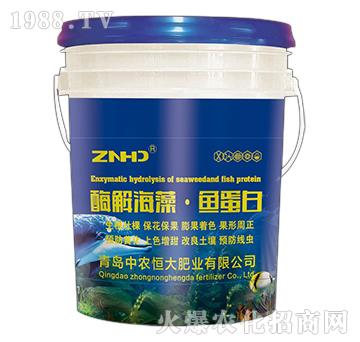 ø�⺣�塤�~(y��)����-���r(n��ng)���