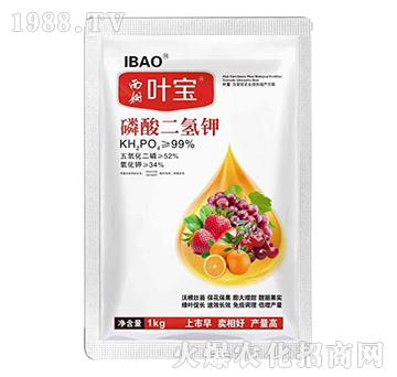 ��������-�~��-��ķ����