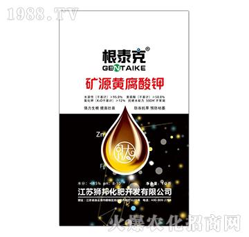 �VԴ�S�����-��̩��-���r(n��ng)�ʘI(y��)