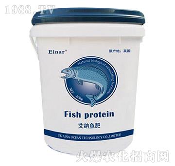 ���{�~��-���㺣