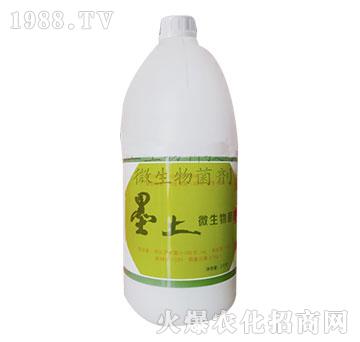 ΢�������-ī��