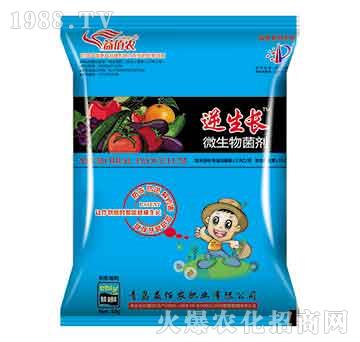 ΢�������-�����L-����r(n��ng)