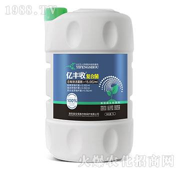 ����΢�������-�|�S�ՏͺϾ�-����̩