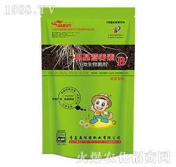 �߲ˌ���΢�������-�����I(y��ng)�B(y��ng)��B-����r(n��ng)