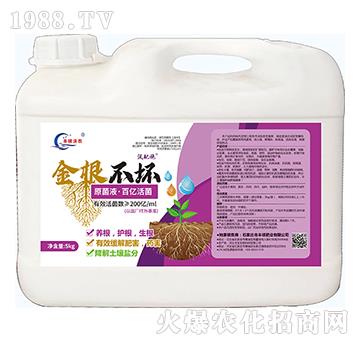 200�|ÿ����΢�������-�������-�S�T�ʘI(y��)