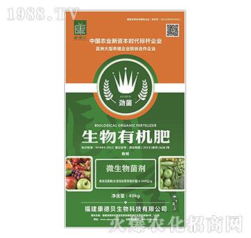 ΢�������-�ž������ЙC(j��)�ʣ��ۄ���-����ؐ