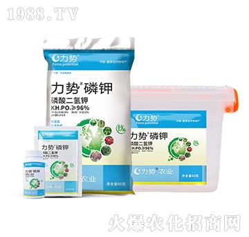 ��������-�������-������