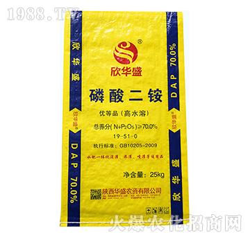 ������@19-51-0-�Aʢ�r�Y