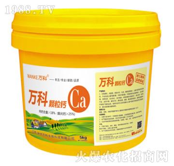 �w���}-�f��