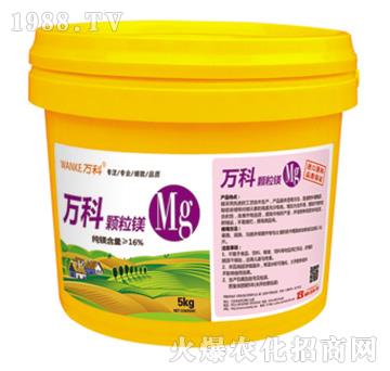 �w���V-�f(w��n)��