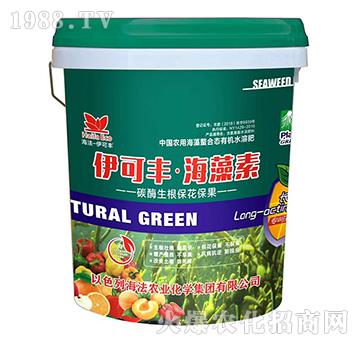 ̼ø������������-�����S��������-����