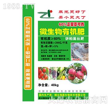 ΢�����-���s������-��������