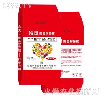 �ֹ���(zhu��n)��̼��΢�������-�������B(t��i)