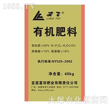 �ЙC(j��)����-����ʘI(y��)